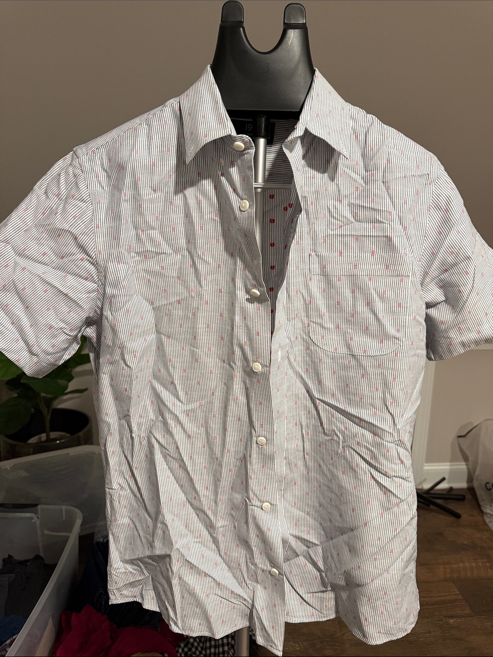 1901 White Short-Sleeve Button-Down Shirt with Red Pinstripe Detail